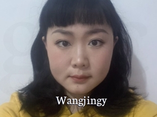 Wangjingy