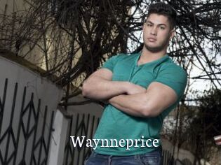 Waynneprice