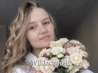 Wildacaudell