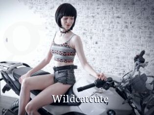Wildcatcute