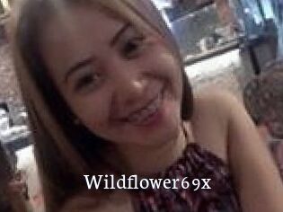 Wildflower69x