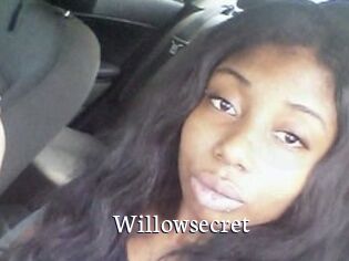 Willow_secret