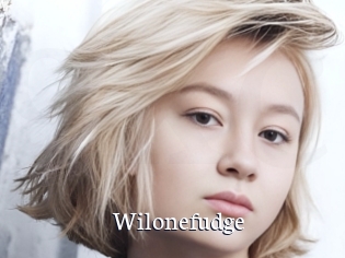 Wilonefudge