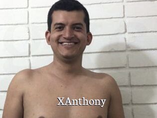 XAnthony