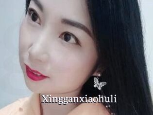 Xingganxiaohuli