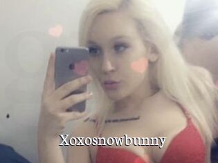 Xoxosnowbunny