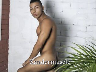 Xandermuscle
