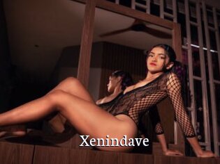 Xenindave