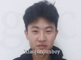 Xiaojunjunboy