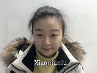 Xiaoniuniu