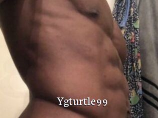 Ygturtle99