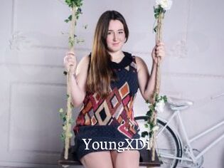 YoungXDi