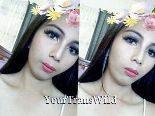 YourTransWild
