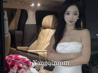 Yangqinmm