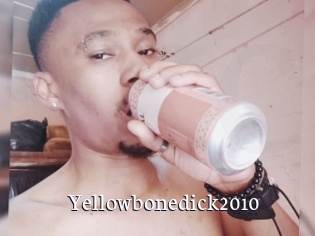 Yellowbonedick2010