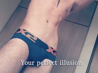 Your_perfect_illusion
