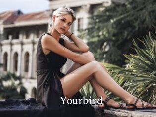 Yourbird