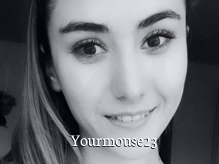 Yourmouse23