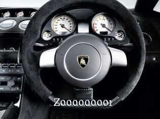 Z000000001