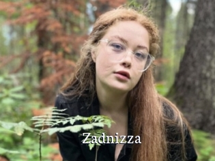 Zadnizza