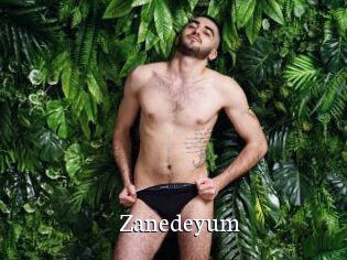 Zanedeyum