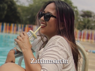 Zattinmartin
