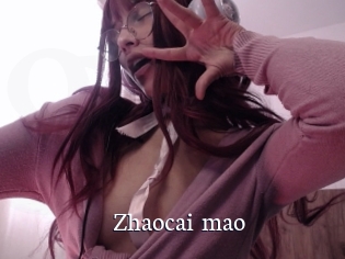 Zhaocai_mao