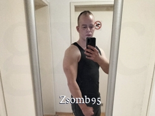 Zsomb95